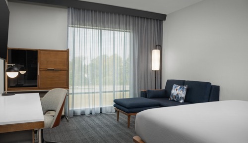 Room, 1 King Bed with Sofa bed, Roll-in Shower