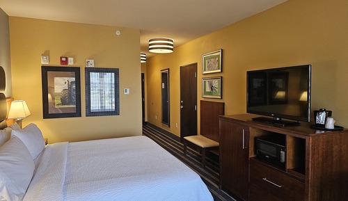 Standard Room, 1 King Bed, Accessible Bathtub (Hearing, Mobility Tub)