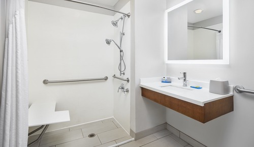 Room, Accessible (Roll-In Shower)