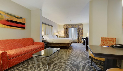 Suite, 1 King Bed