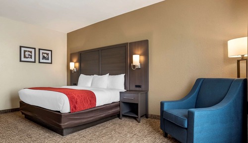 Room, 1 King Bed, Accessible, Non Smoking