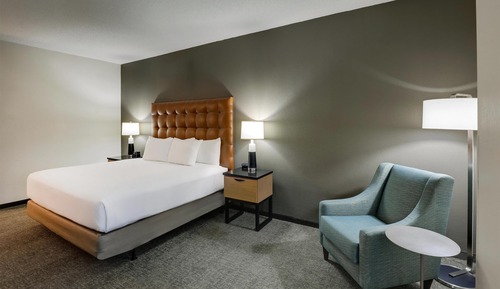Room, 1 King Bed, Accessible (Tub)