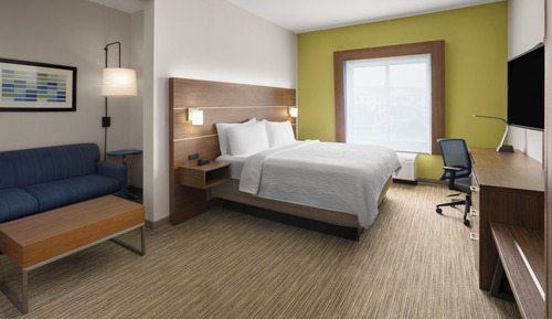 Suite, 1 King Bed with Sofa bed