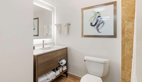 Suite, 1 King Bed with Sofa bed, Accessible, Non Smoking