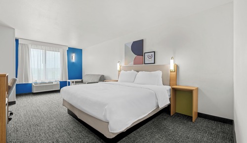 Studio, 1 King Bed with Sofa bed