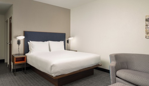 Room, 1 King Bed with Sofa bed (Mobility/Hearing Access, Roll-In Shwr)