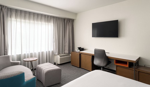 Room, 1 King Bed with Sofa bed (Hearing Accessible)