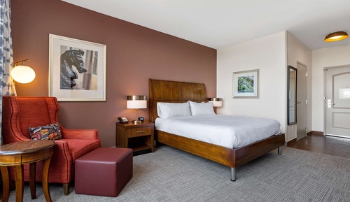 Room, 1 King Bed, Accessible (Mobility, Bathtub), City View, Snack Room