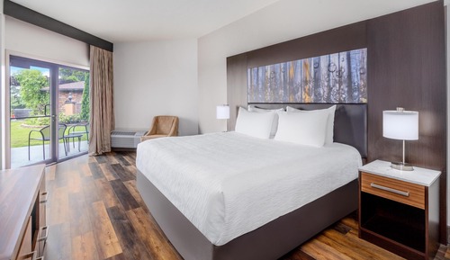 Standard Room, 1 King Bed, Non Smoking, Refrigerator & Microwave (Larger Room;with Sofabed)