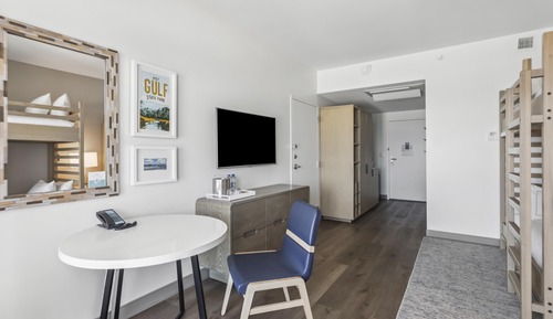 Room, Accessible, Bathtub (Mobility)