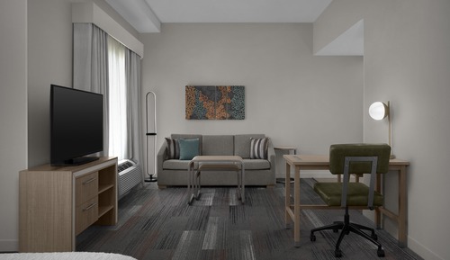 Studio, 1 King Bed, Accessible (Mobility & Hearing, Roll-in Shower)