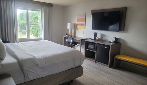 Room, 1 King Bed, Accessible, Non Smoking (Roll-in Shower)