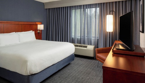Suite, 1 Bedroom