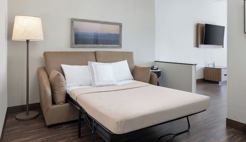 Studio, 1 King Bed with Sofa bed