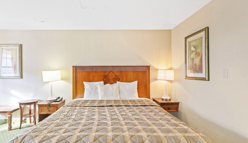 Room, 1 King Bed, Smoking
