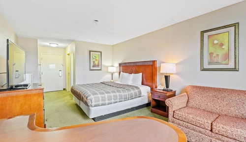 Room, 1 King Bed, Non Smoking