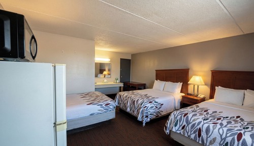 Room, Non Smoking (3 Full Beds)