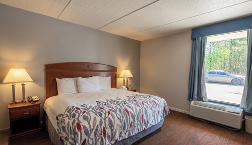 Room, 1 King Bed, Non Smoking (Accessible)