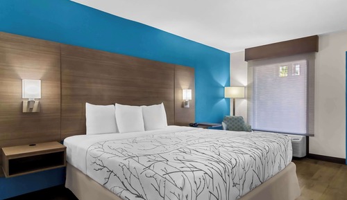 Standard Room, 1 King Bed, Accessible, Refrigerator & Microwave