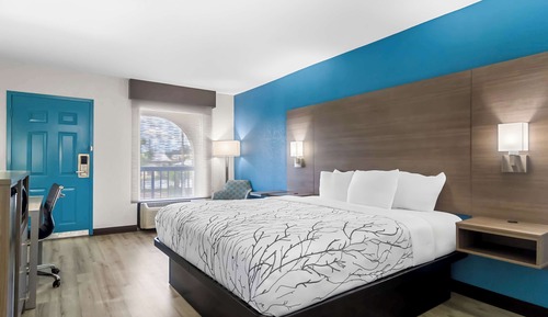 Standard Room, 1 King Bed, Non Smoking, Refrigerator & Microwave (Shower Only)