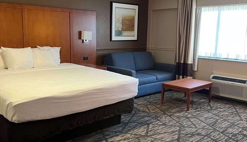 Standard Room, 1 King Bed, Non Smoking, Refrigerator & Microwave