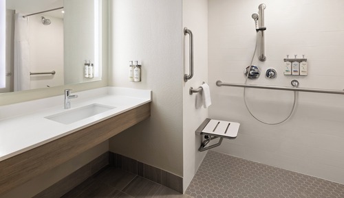 Standard Room, 1 King Bed, Accessible (Roll-In Shower)
