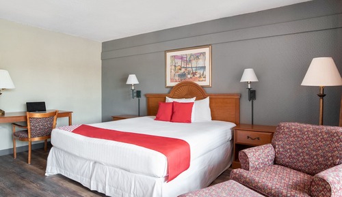 Room, 1 King Bed