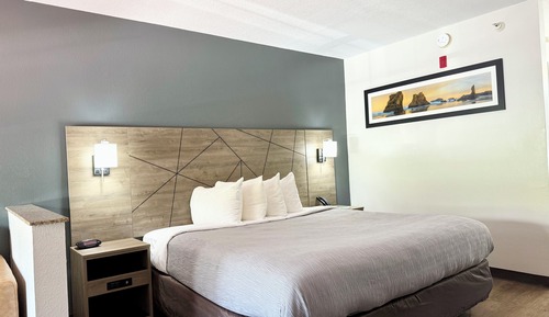 Suite King Non Smoking 2 person Sofabed