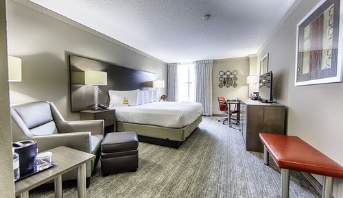 Standard Room, 1 King Bed