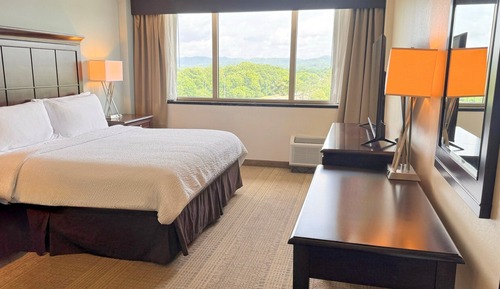 Room, 1 King Bed, Roll-in Shower (Communications Accessible)