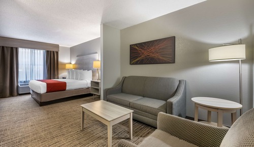 Standard Room, 1 King Bed, Accessible, Bathtub