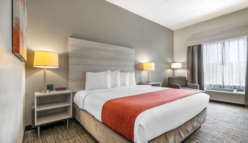 Standard Room, 1 King Bed, Non Smoking, Refrigerator & Microwave