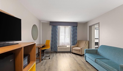 Studio Suite, 1 King Bed, Smoking