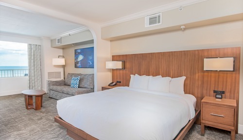 Room, 1 King Bed with Sofa bed
