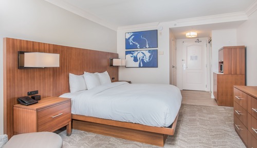 Deluxe Room, 1 King Bed, Accessible (Bathtub)