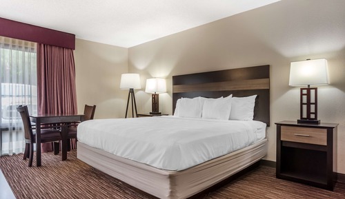 Standard Room, 1 King Bed, Accessible, Refrigerator & Microwave