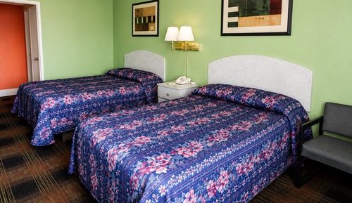 Basic Double Room