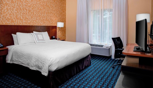 Room, 1 King Bed