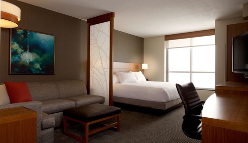 Room, 1 King Bed with Sofa bed, Accessible, Bathtub (With Tub)