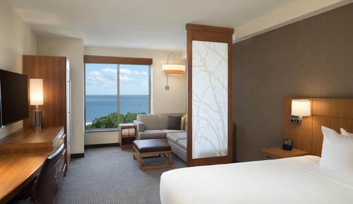 Room, 1 King Bed with Sofa bed (View)