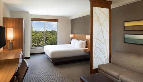 Room, 1 King Bed with Sofa bed