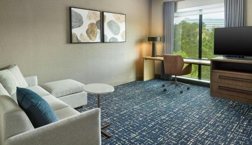One-Bedroom King Suite with Sofa Bed 