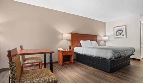 King Room - Non-Smoking