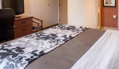 Double Room with Two Double Beds - Non-Smoking