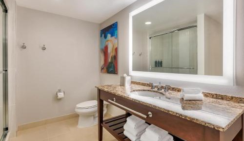 King Plus Suite with Sofa Bed
