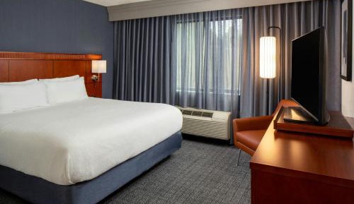 One-Bedroom King Suite with Sofa Bed