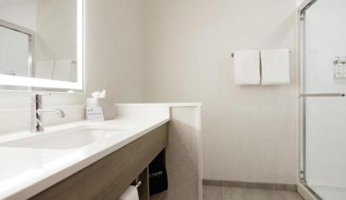 King Suite with Sofa Bed and Walk-In Shower- Communications Accessible