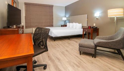 King Room - Non-Smoking