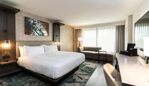 King or Double Room