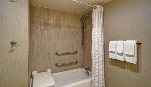 One-Bedroom Suite - Mobility Access/Bath Tub